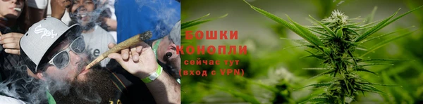 стафф Беломорск