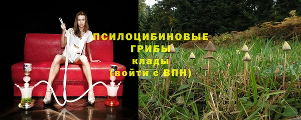 стафф Беломорск
