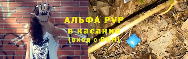 стафф Беломорск