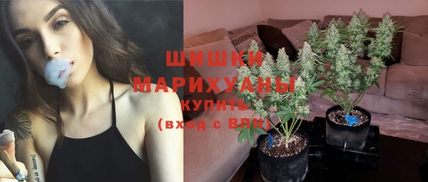 круглые Белокуриха