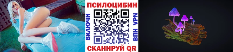 kraken ССЫЛКА  Верещагино  Псилоцибиновые грибы мухоморы 