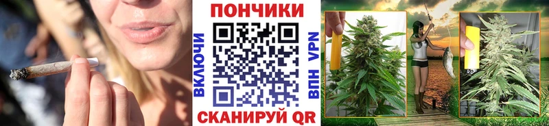 Бошки Шишки VHQ  закладка  Верещагино 